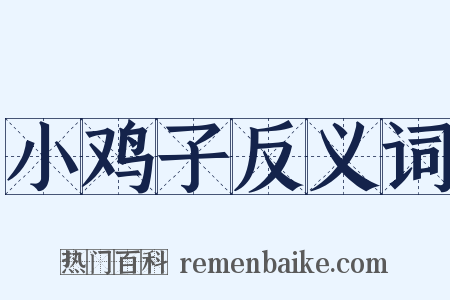 小鸡子反义词是什么意思的图片